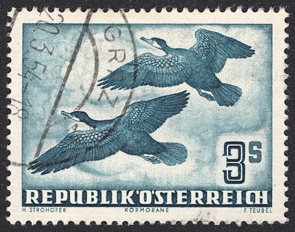 Österreich, Nr.985, 3S., Flugpost, Kormoran, gestempelt GRAZ