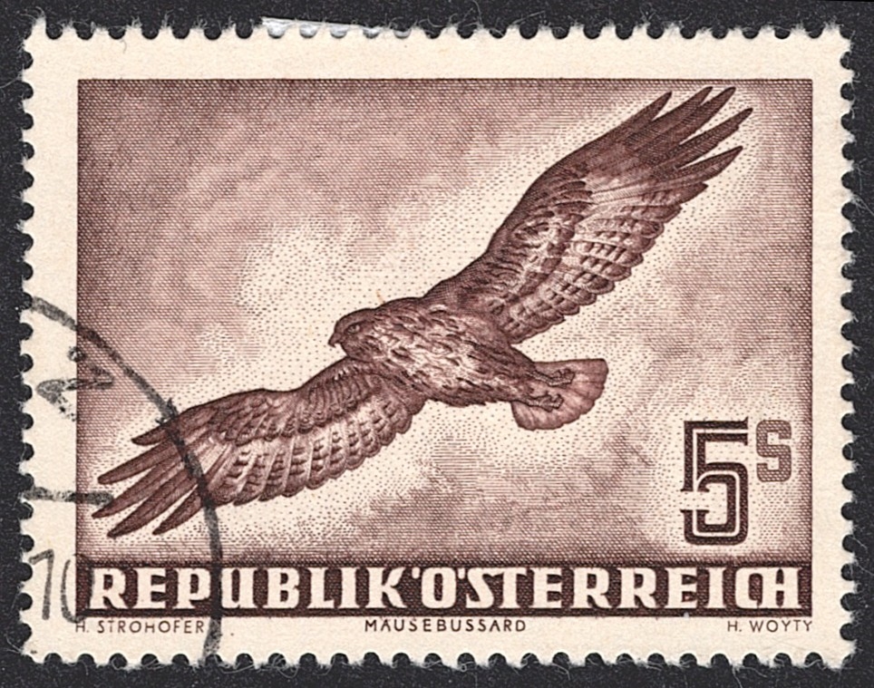 Österreich, Nr.986, 5S.,Flugpost, Mäusebussard, Eckstempel