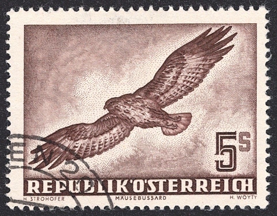 Österreich, Nr.986, 5S.,Flugpost, Mäusebussard, Eckstempel