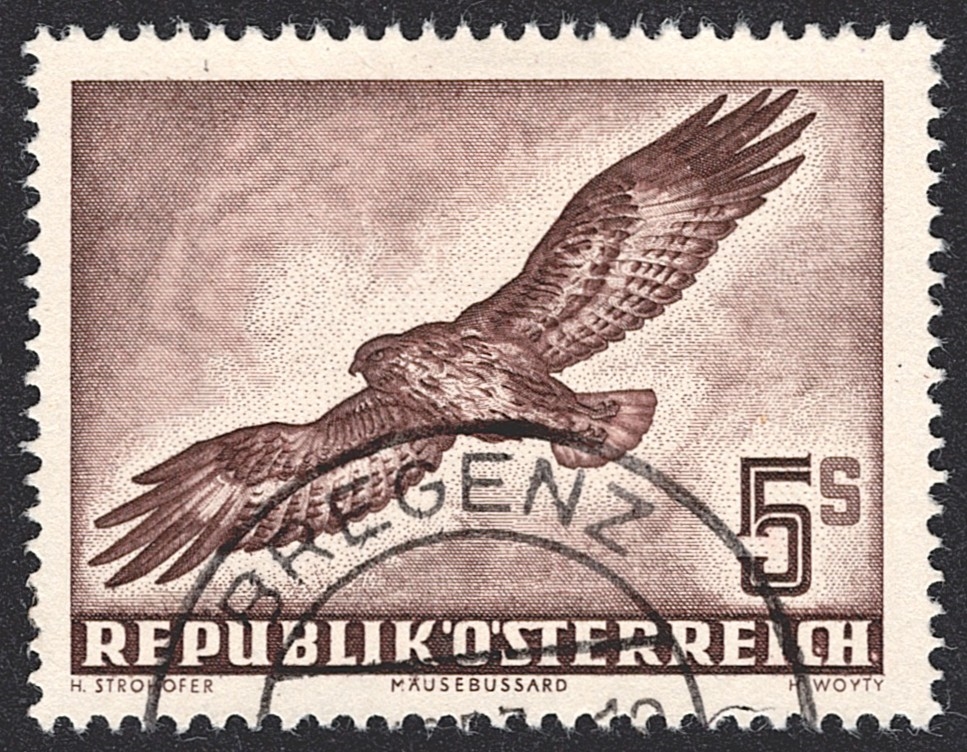 Österreich, Nr.986, 5S.,Flugpost, Mäusebussard, gestempelt BREGENZ
