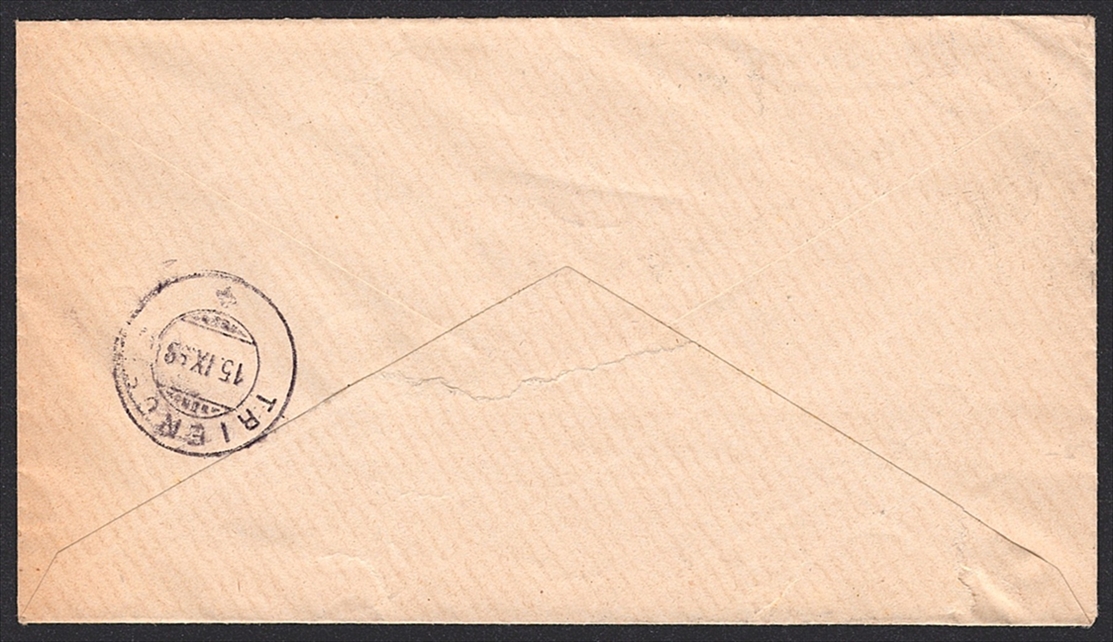 Schweiz, Abstempelungen, Wertziffer, Nr.60B, gestempelt BÜRON, Brief nach Triengen – Bild 2